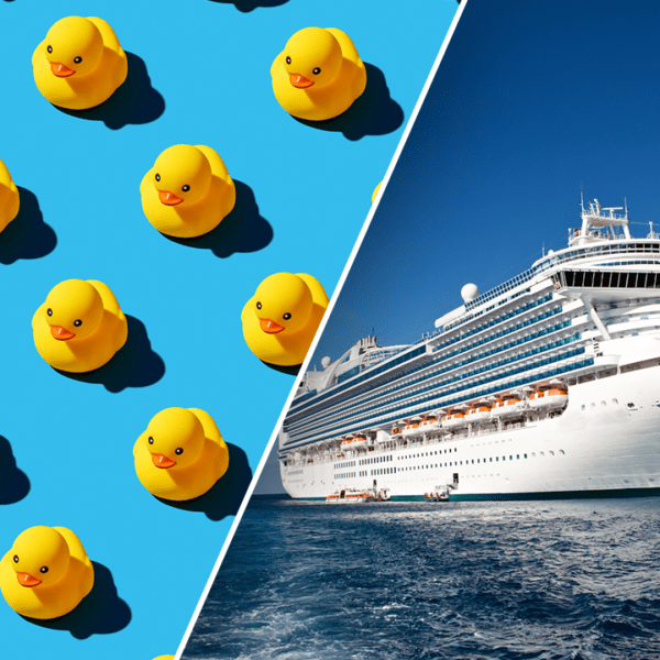 Cruise ship vacationers go viral on social media for hiding rubber geese…