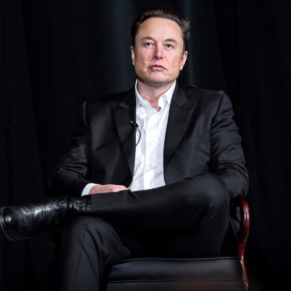 Elon Musk Helps Level The Playing Field, Bankrolls Republican House Candidates in…