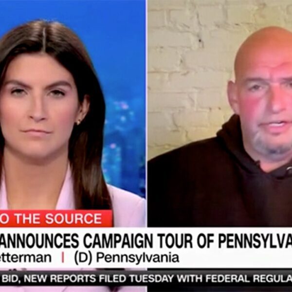 Fetterman admits Elon Musk ‘engaging to a demographic’ Democrats ‘want’ to win…