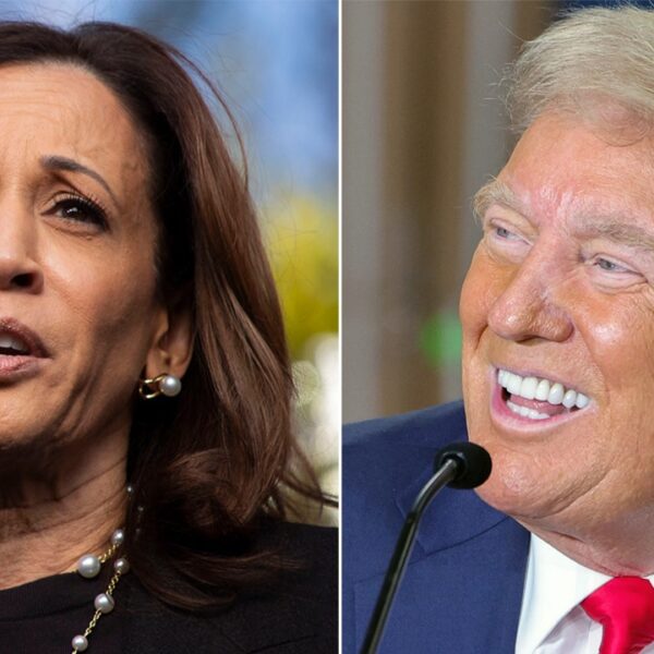 Trump with slight edge over Harris on this essential western battleground: ballot