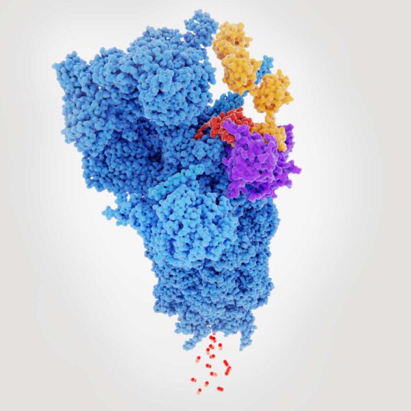 Kymera's Protein Degradation Technology: A Promising Bet For Long-Term Biotech Investors