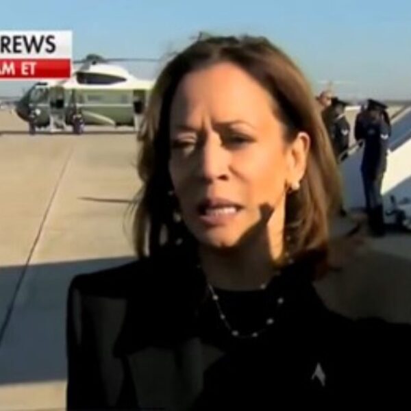 SHAMEFUL: Kamala Harris Makes Comment DEFENDING Joe Biden After He Called Millions…