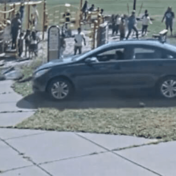 Minnesota boy, 10, arrested after recklessly driving stolen automobile close to playground…