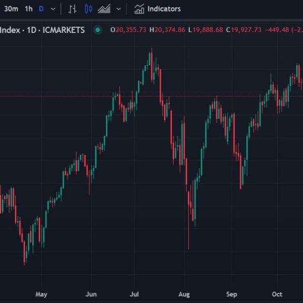 Stocks to proceed greater via 2025. AI, Fed cuts, and powerful economic…