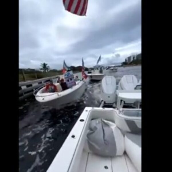 WATCH: Hateful Leftists Flying Nazi Flags Get a Rude Awakening When They…