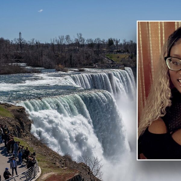 Women jumps into Niagara Falls with 2 younger sons in ‘intentional act’:…