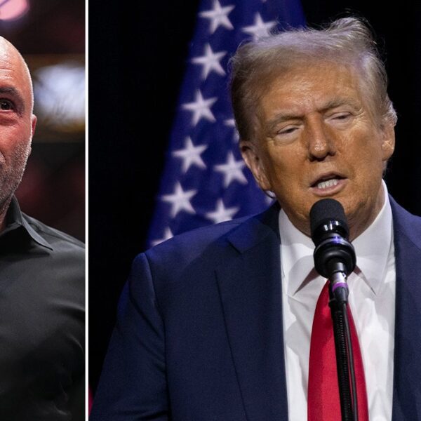 Trump hints he’ll seem on Joe Rogan podcast: ‘I believe I’m doing…