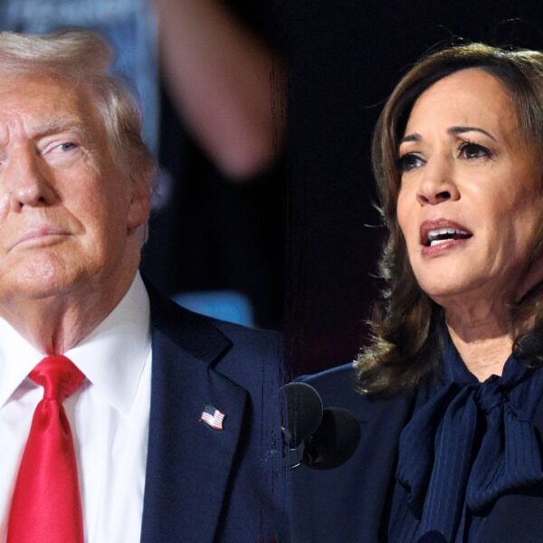 Fox News Politics: Is Harris or Trump extra accessible?