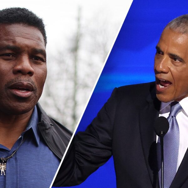 Herschel Walker says Obama ‘forgot our combat for proper to vote’ after…