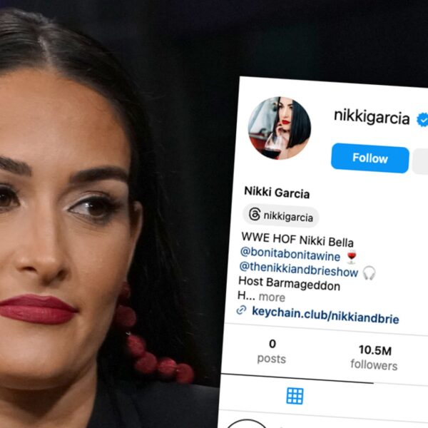 Nikki Bella Wipes Instagram After Settling Artem Chigvintsev Divorce