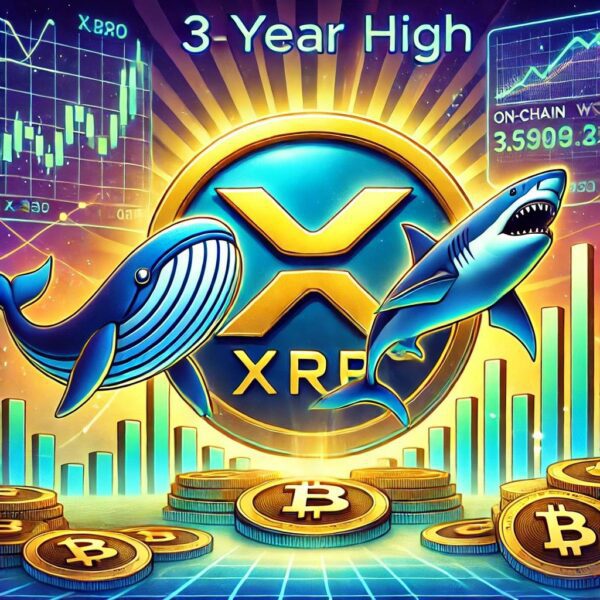 Whales And Sharks Push XRP Price To New 3-Year High, On-Chain Data…