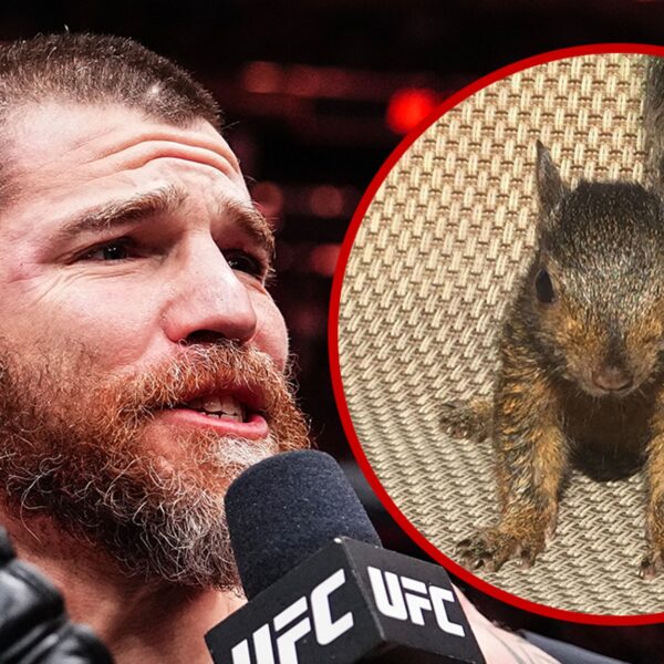 Peanut the Squirrel Shouted Out at UFC 309 and ‘SNL’