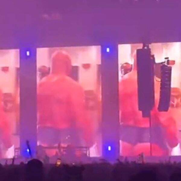 DJ Alison Wonderland Uses Mike Tyson’s Bare Ass in Visuals For Concert