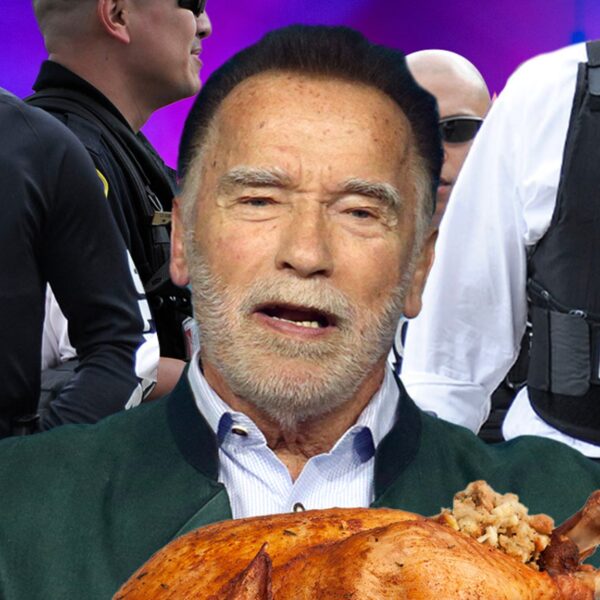 Arnold Schwarzenegger’s House Swatted on Thanksgiving