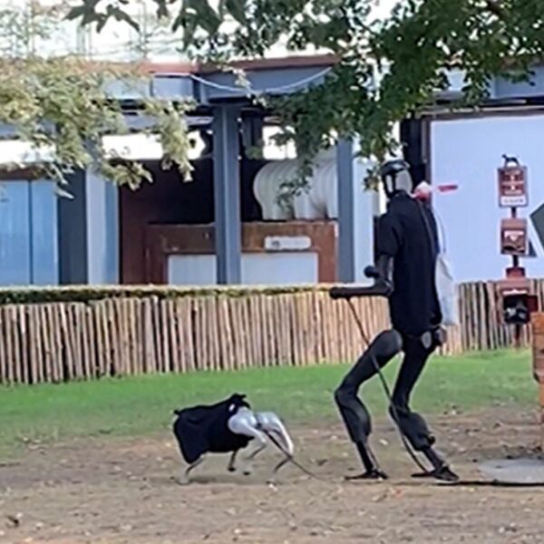 Humanoid Robot Walks Robot Dog in Chinese Park, Video Shows