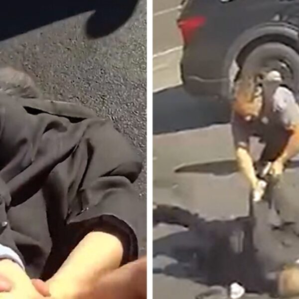 Elderly Man Hospitalized After Cop Throws Him to Ground, Video Shows