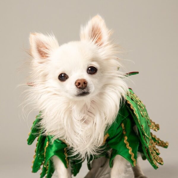 Mr. Piffles, Piff the Magic Dragon’s Beloved Chihuahua, Dead at 16