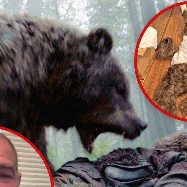 ‘Revenant’ Bear Actor Says He Could’ve Pulled Off Scam Better Than Suspects