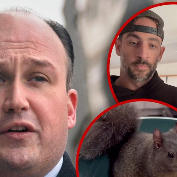 New York Congressman Demands Answers From Governor About Peanut the Squirrel