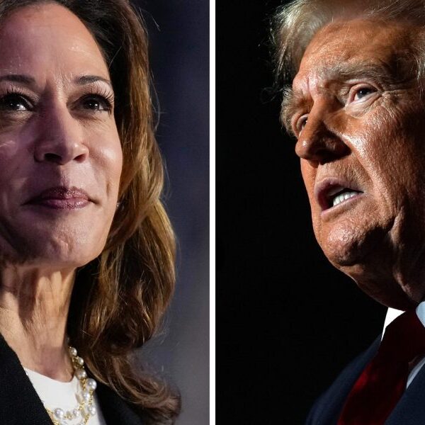 Trump prematurely claims victory as Harris’ camp insists votes are nonetheless being…