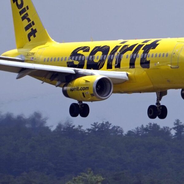 Spirit Airlines information for chapter because it tries to get well from…