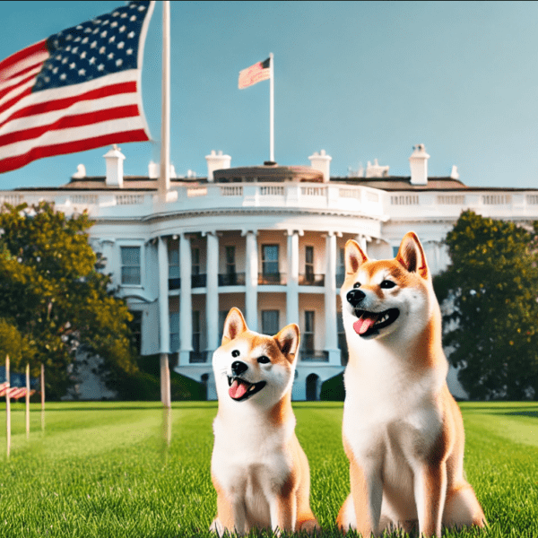 Coinbase CEO Backs DOGE – A Catalyst For Economic Freedom In The…