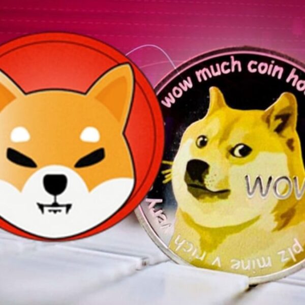 Here’s How Much The Shiba Inu Price Will Be If It Hits…