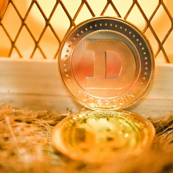 Dogecoin’s Bull Market Ahead? Expert Hints At Potential 200% Price Rally