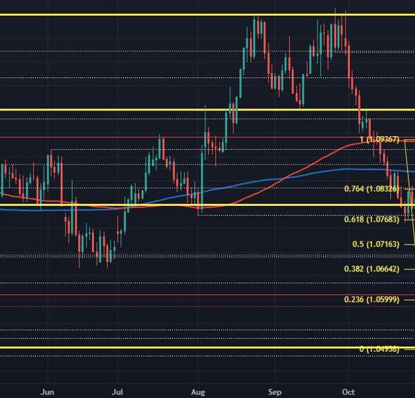 EUR/USD draw back stalls as greenback rally pauses for breath