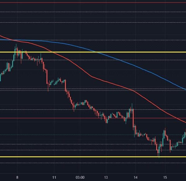 EUR/USD continues to carry the road, attracts in key near-term stage