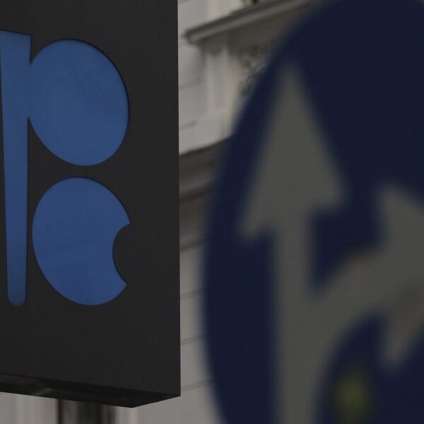 OPEC+ delays provide restart once more as crude costs battle