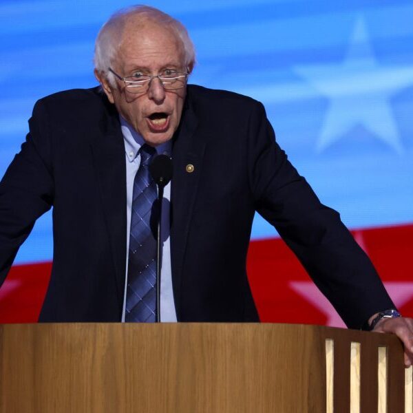 Bernie Sanders: Democrats should not be stunned center class ‘deserted’ its ‘disastrous…