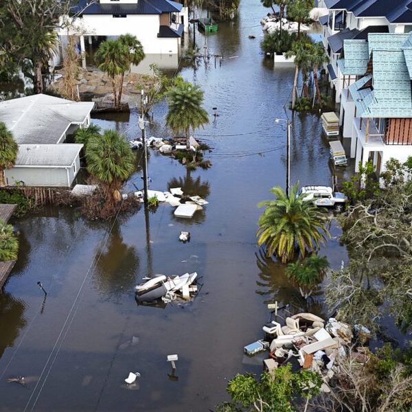 Hurricane season can devastate workplaces: How HR leaders can put together staff