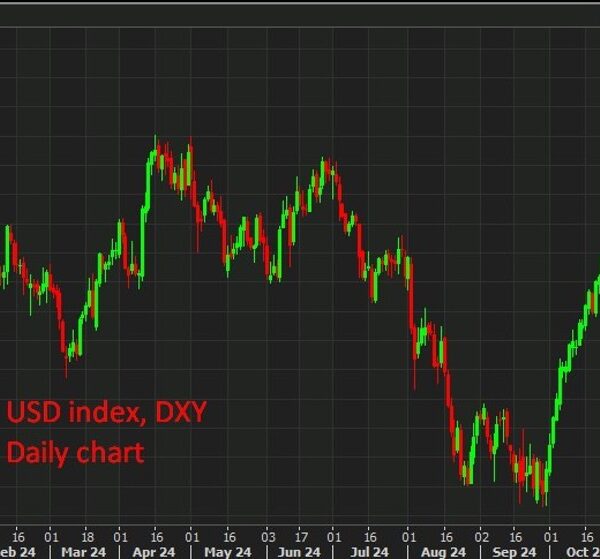 MUFG says the US greenback drop is momentary – nonetheless effectively supported…