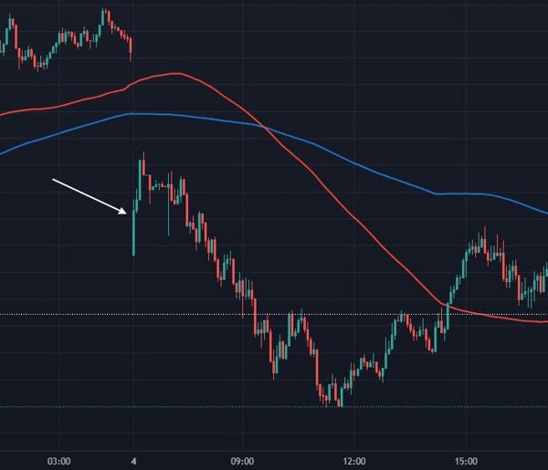 Dollar stays pinned down alongside yields forward of US buying and selling