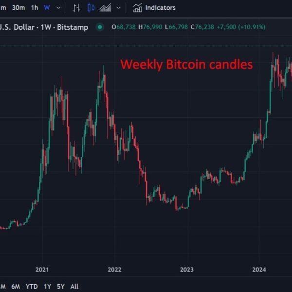 JP Morgan says Bitcoin might climb larger for 8 weeks – cites…