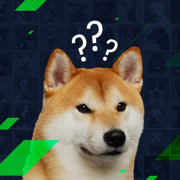 Dogecoin Community Celebrates DOGE Day Today, What Is It All About?