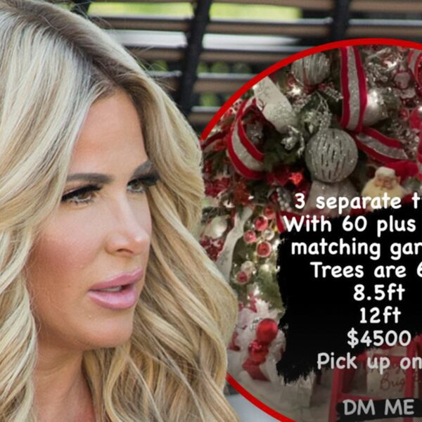 Kim Zolciak Resorts to Selling Christmas Trees Amid Financial Woes