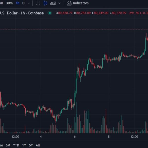 Bitcoin above US$80K | Forexlive