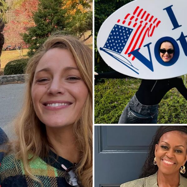 Celebs Rock The Vote For The 2024 Election!