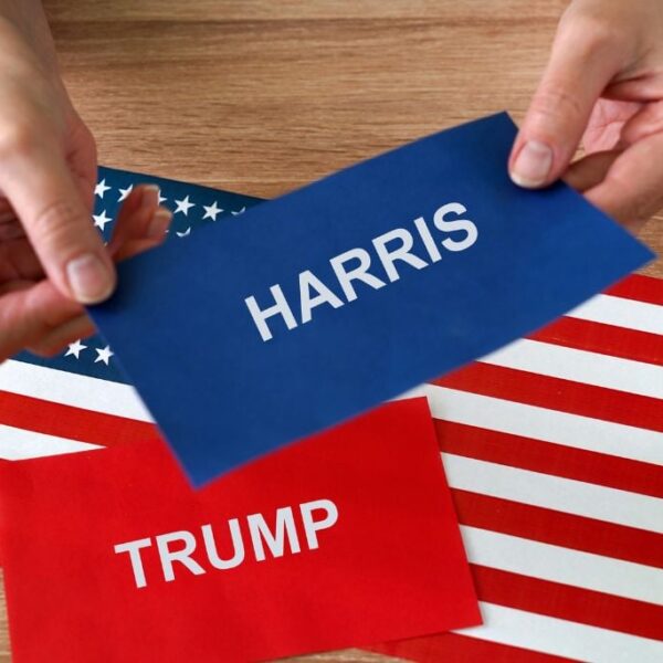 Of the 19 states Harris gained, 13 permit voting with out ID.