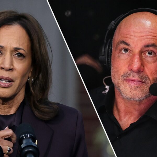 Joe Rogan says Kamala Harris marketing campaign had a situation to keep…