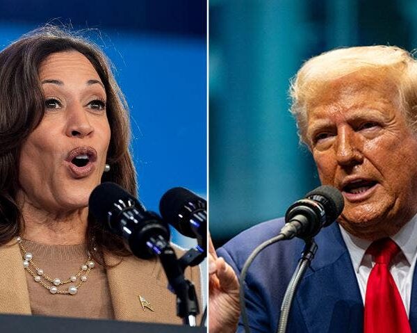 Shock ballot has Harris main Trump in Iowa with 4-point shift towards…