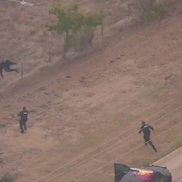 WATCH: Acrobatic Texas fugitive front-flips over fence earlier than epic take down