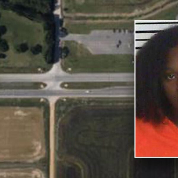 Louisiana lady charged after leaving her baby on roadway, falsely reporting kidnapping:…