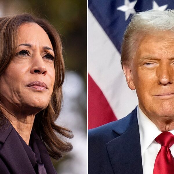 Media liberals savage Kamala as Trump picks skilled hard-liners