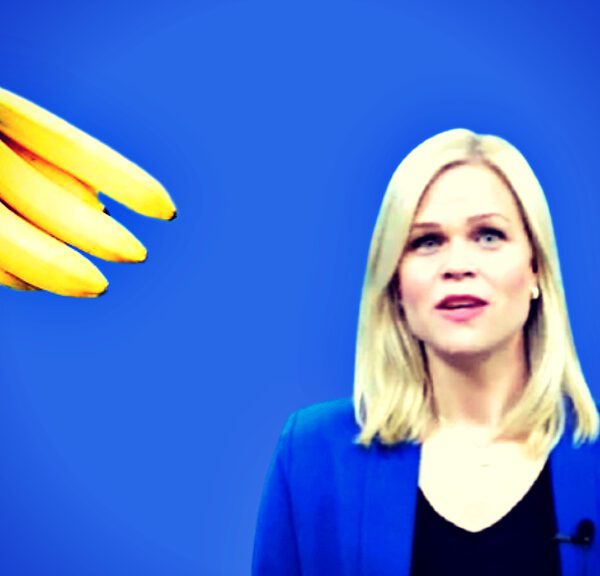 Swedish Minister for Gender Equality Paulina Brandberg Seeking Treatment for ‘Phobia of…