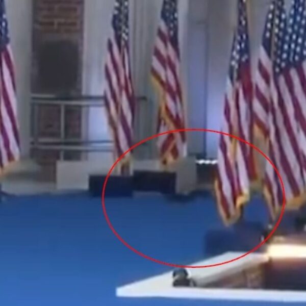 P’nut The Squirrel’s Spirit Lives On: Squirrel Spotted Running Across The Stage…