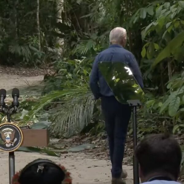 Lost within the Jungle: Joe Biden Travels to Amazon with APEC Leaders,…