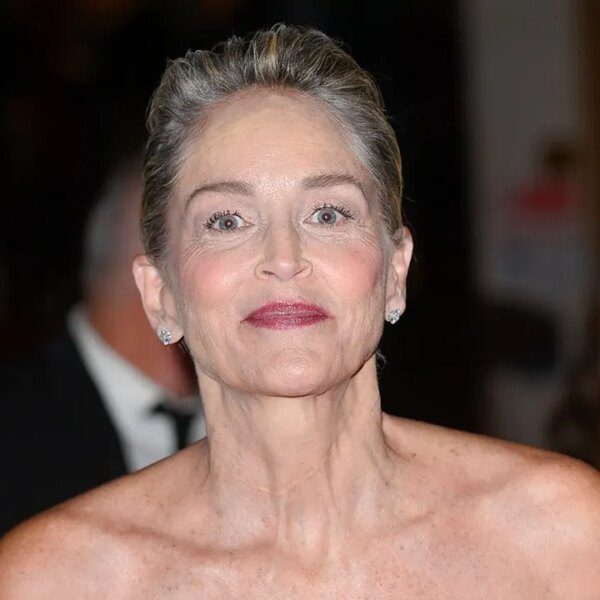 Sharon Stone chastises ‘ignorant, smug’ Americans in rant towards fascism